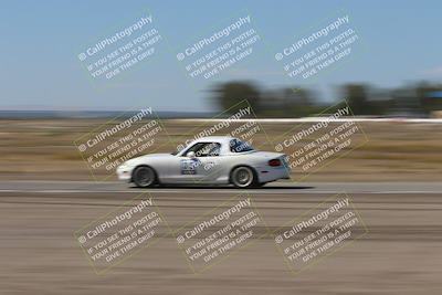 media/Oct-04-2025-OnGrid (Sat) [[44bd565ffa]]/Purple Group/Grapevine/